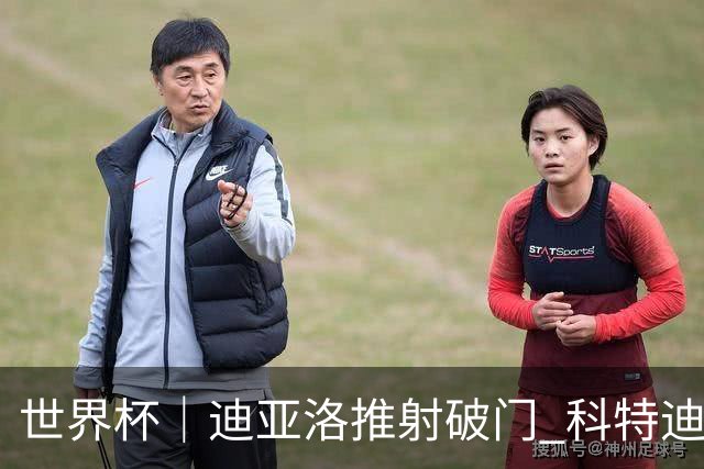 世界杯｜迪亚洛推射破门 科特迪瓦队绝杀厄瓜多尔队